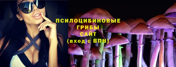 стаф Володарск