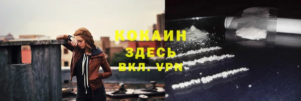 сатива Волосово
