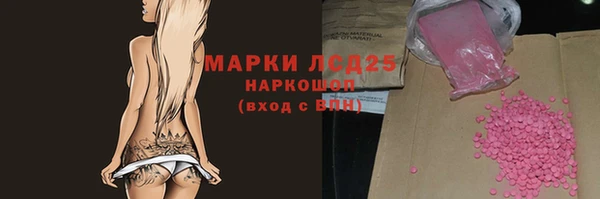 сатива Волосово